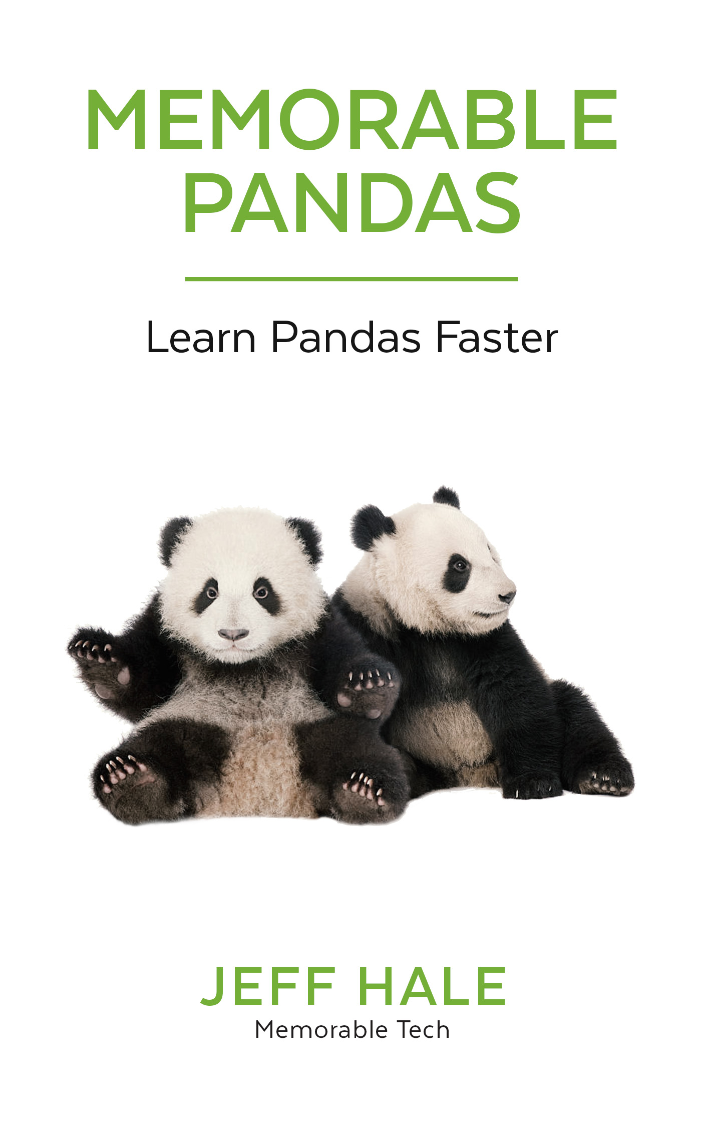 Memorable Pandas Cover